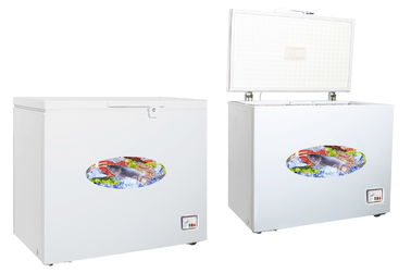 Porcellana Congelatore di ottimo rendimento del petto da 300 litri/piccolo congelatore del petto con la serratura fornitore
